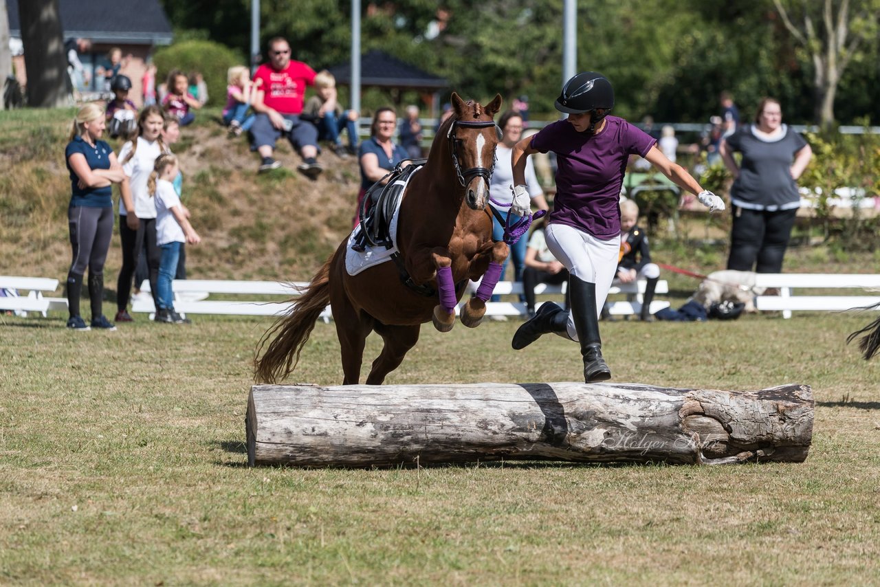 Bild 14 - Pony Akademie Turnier